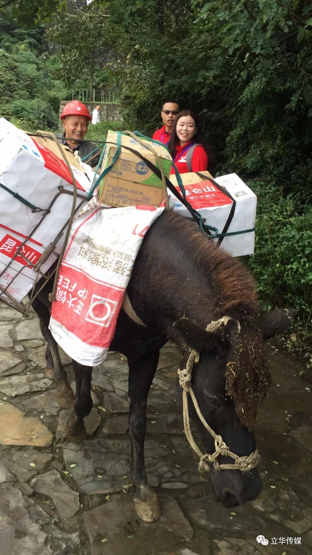 微信图片_20190329161903.jpg